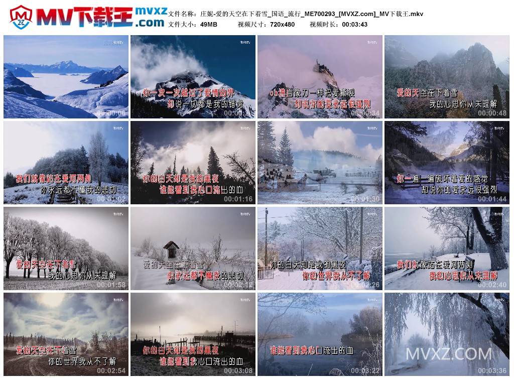 庄妮-爱的天空在下着雪_国语_流行_ME700293